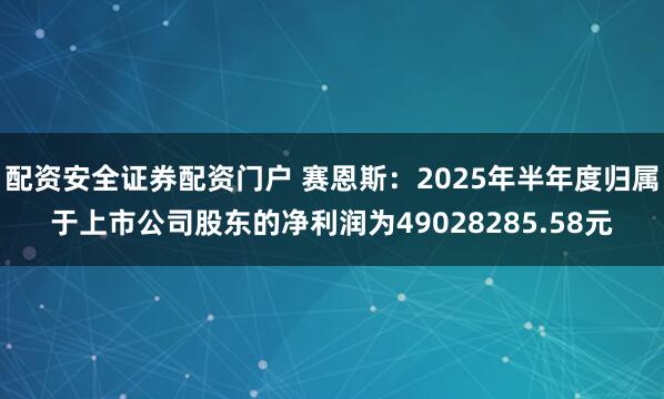配资安全证券配资门户 赛恩斯：2025年半年度归属于上市公司股东的净利润为49028285.58元