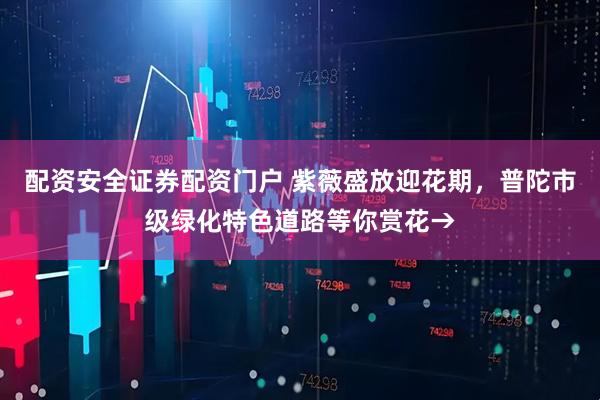 配资安全证券配资门户 紫薇盛放迎花期，普陀市级绿化特色道路等你赏花→