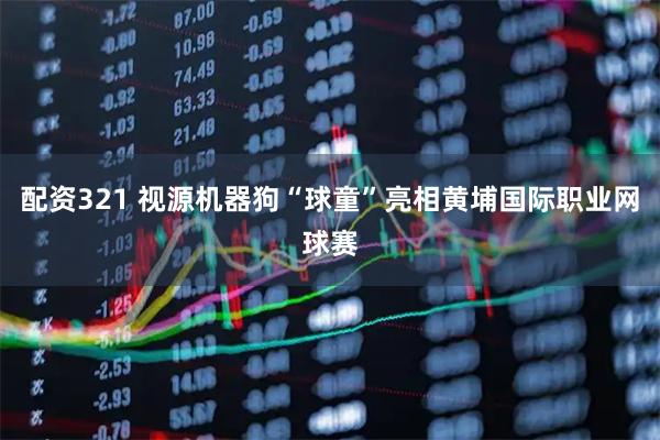 配资321 视源机器狗“球童”亮相黄埔国际职业网球赛