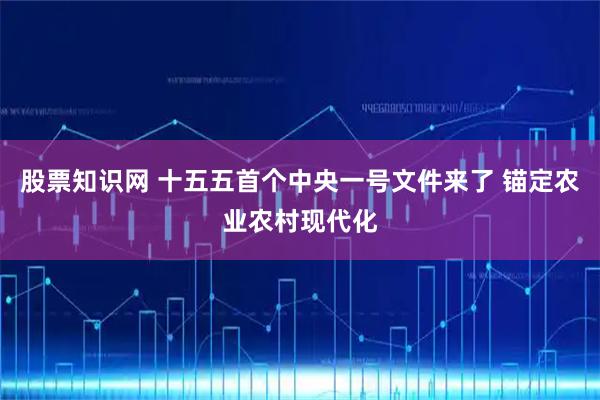 股票知识网 十五五首个中央一号文件来了 锚定农业农村现代化