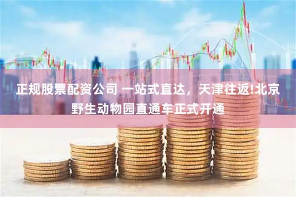 正规股票配资公司 一站式直达,天津往返!北京野生动物园直通车正式开通