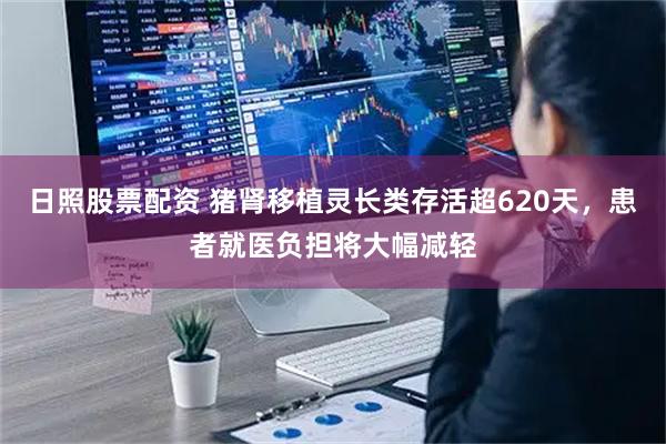 日照股票配资 猪肾移植灵长类存活超620天，患者就医负担将大幅减轻